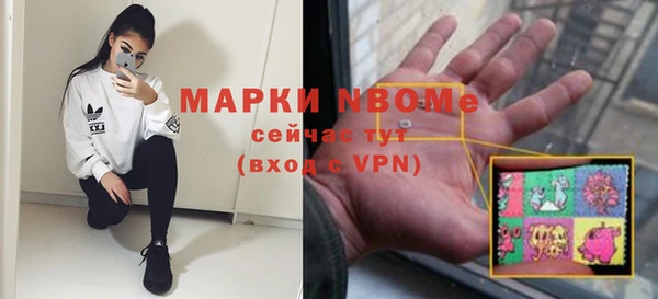 сатива Белокуриха