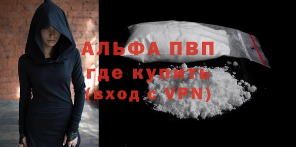 сатива Белокуриха