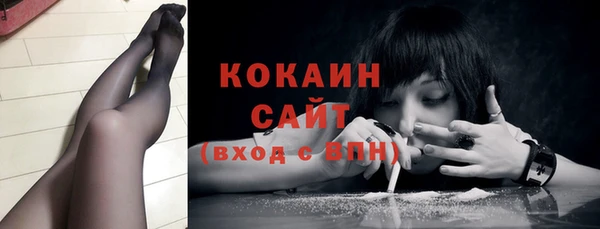 индика Балахна