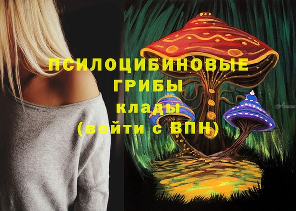 сатива Белокуриха