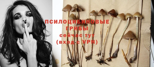 сатива Белокуриха