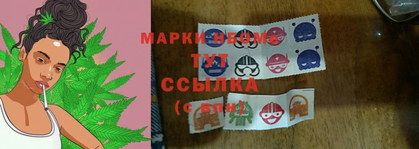 сатива Белокуриха