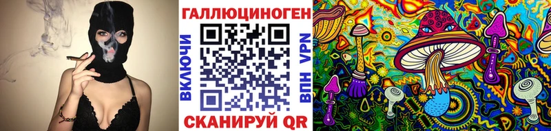 Галлюциногенные грибы Psilocybine cubensis Купино